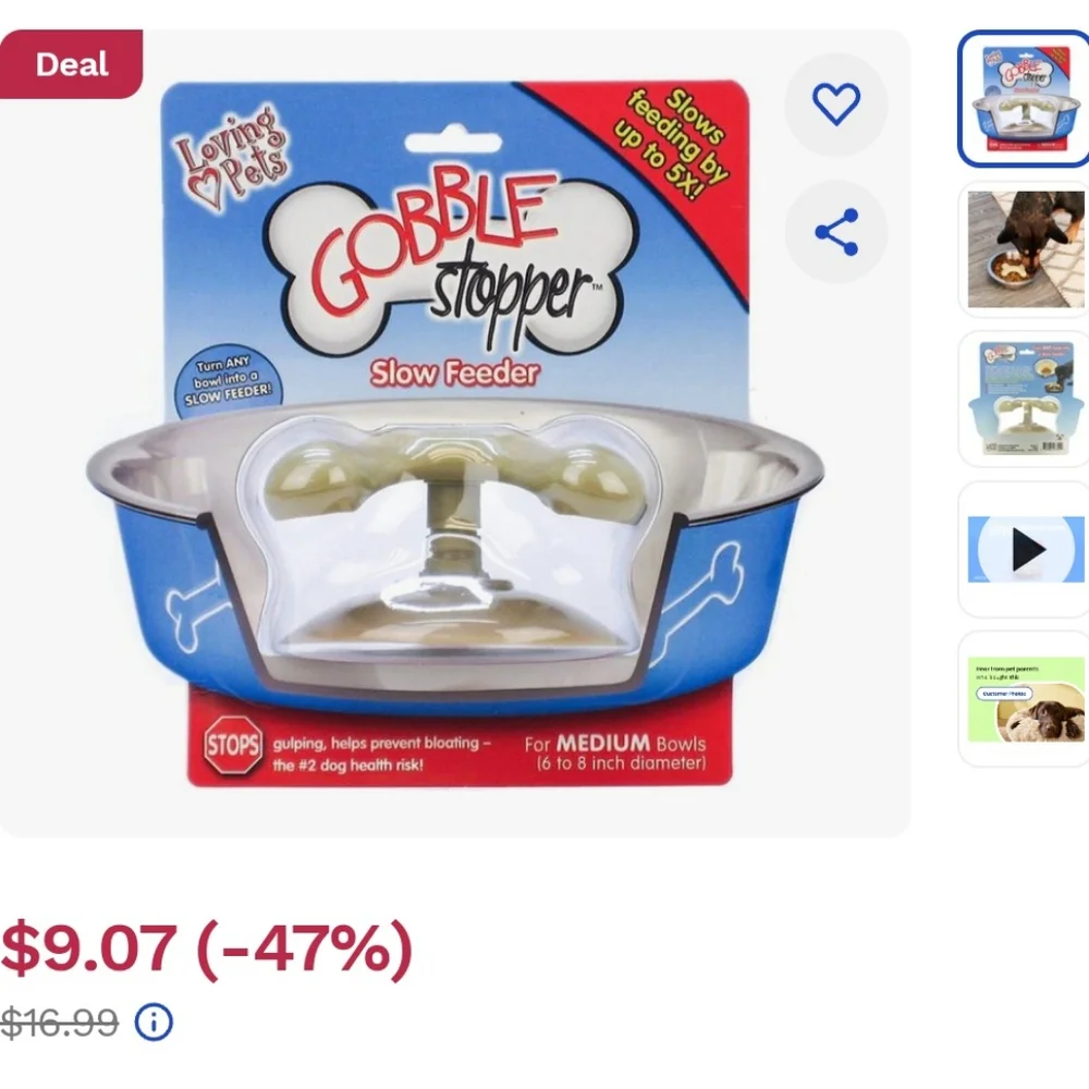 Slow Feeder for Dogs